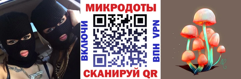 Галлюциногенные грибы Psilocybine cubensis  Купить где  Зубцов 